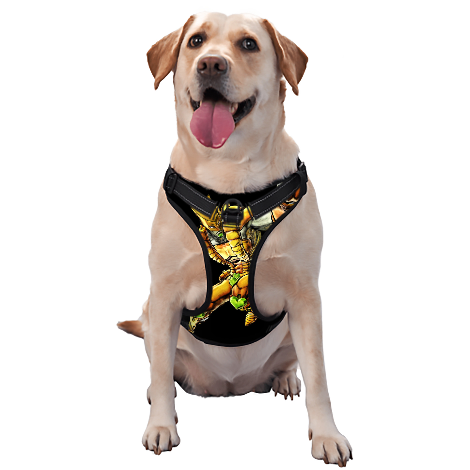 （画像用） ジョジョの奇妙な冒険 ディオ?ブランドー JoJo's Bizarre Adventure Dio Brando ペット用ハーネス